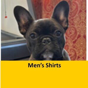 Mens Tshirts & Casual Shirts